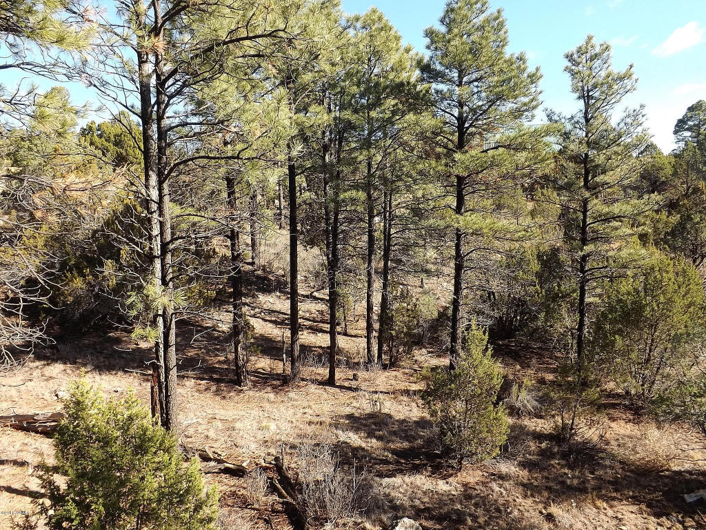 2256 Double Bogey Way, Overgaard, AZ 85933