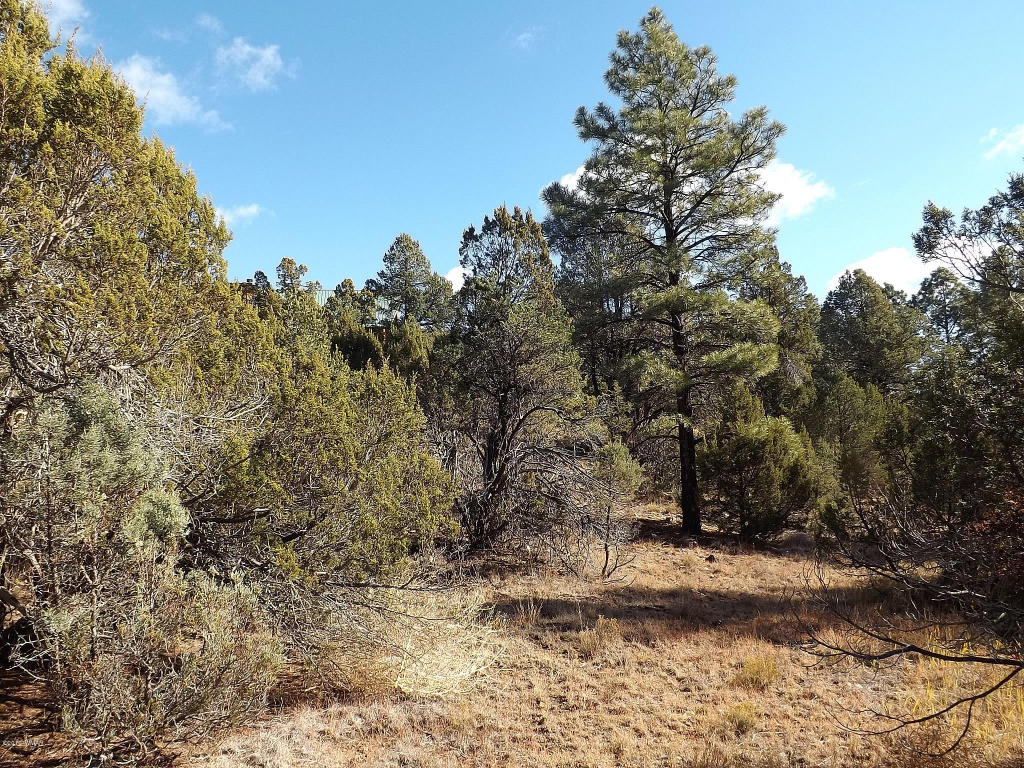 2256 Double Bogey Way, Overgaard, AZ 85933