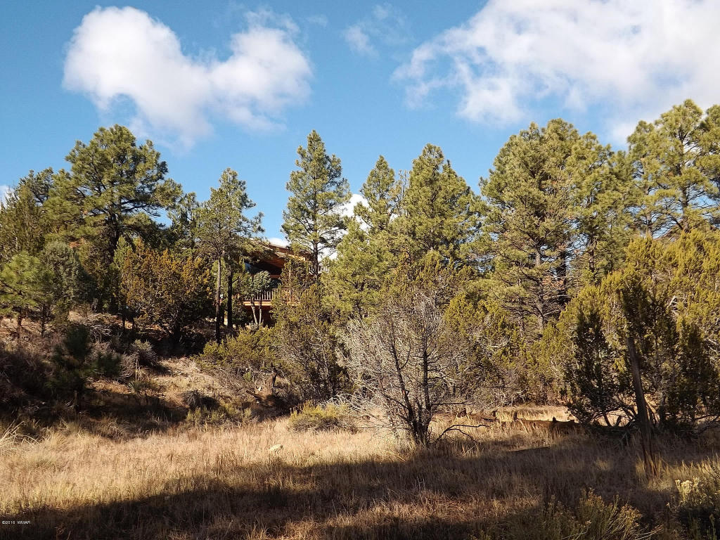 2256 Double Bogey Way, Overgaard, AZ 85933