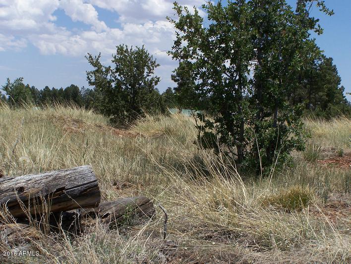 2716 Trevor Way, Overgaard, AZ 85933