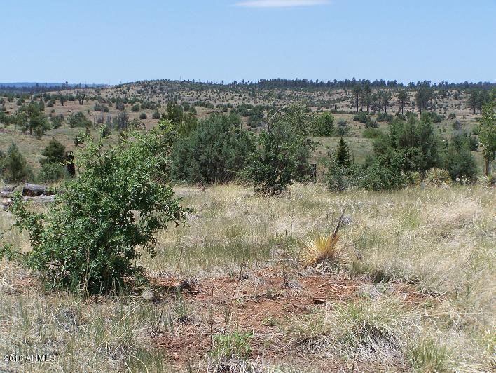 2716 Trevor Way, Overgaard, AZ 85933