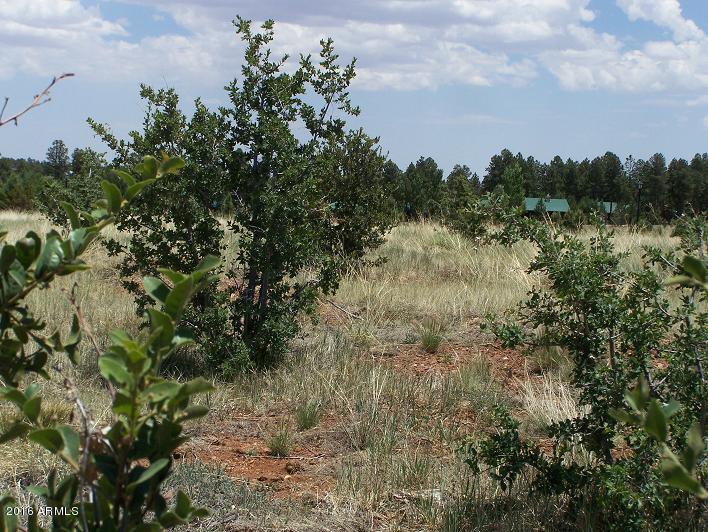 2716 Trevor Way, Overgaard, AZ 85933