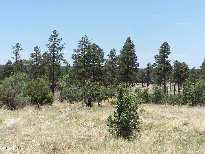 2716 Trevor Way, Overgaard, AZ 85933