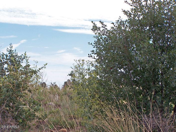 2716 Trevor Way, Overgaard, AZ 85933