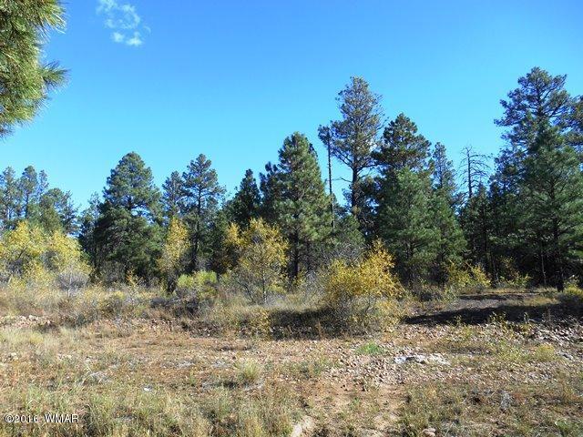 2917 Cedar Lane, Overgaard, AZ 85933