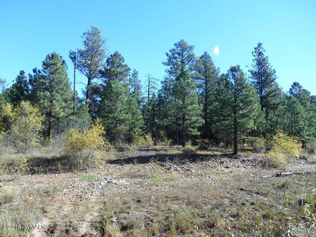 2917 Cedar Lane, Overgaard, AZ 85933