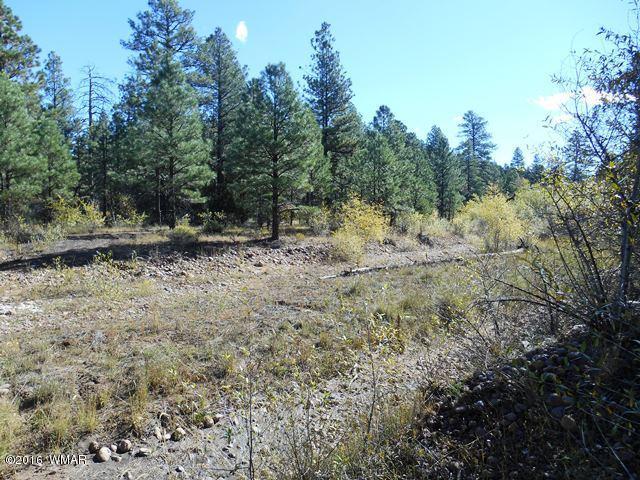 2917 Cedar Lane, Overgaard, AZ 85933