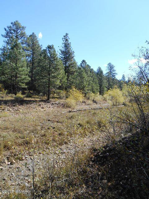 2917 Cedar Lane, Overgaard, AZ 85933