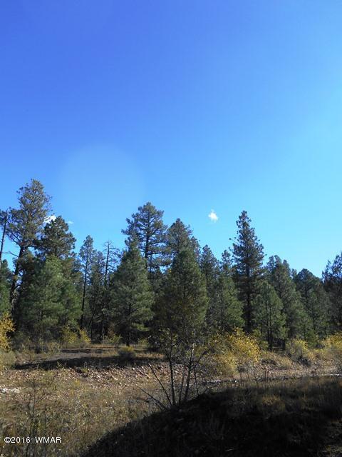 2917 Cedar Lane, Overgaard, AZ 85933