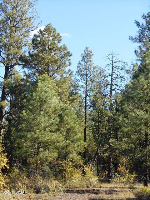 2917 Cedar Lane, Overgaard, AZ 85933