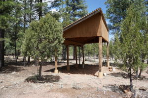 2032 Jones Pass, Overgaard, AZ 85933