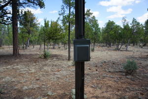 2032 Jones Pass, Overgaard, AZ 85933