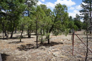 2032 Jones Pass, Overgaard, AZ 85933
