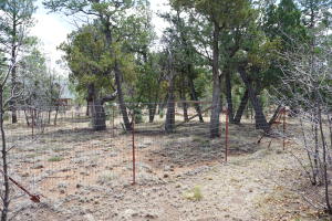 2032 Jones Pass, Overgaard, AZ 85933