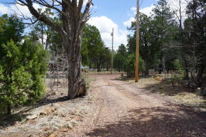 2032 Jones Pass, Overgaard, AZ 85933