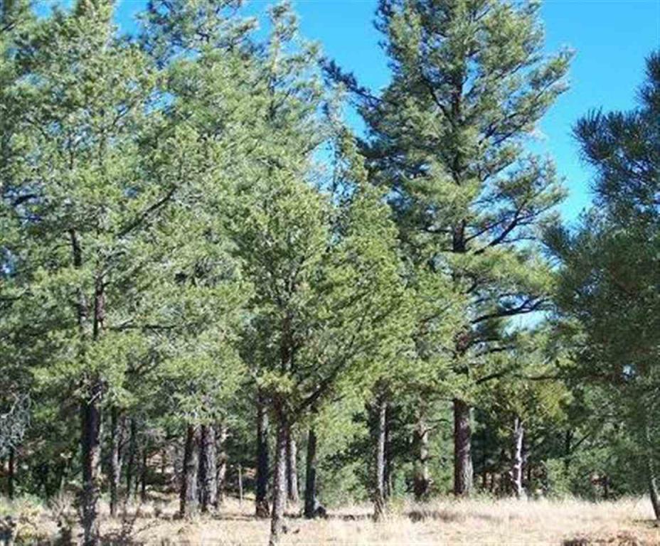 2864 Constellation Lane, Overgaard, AZ 85933