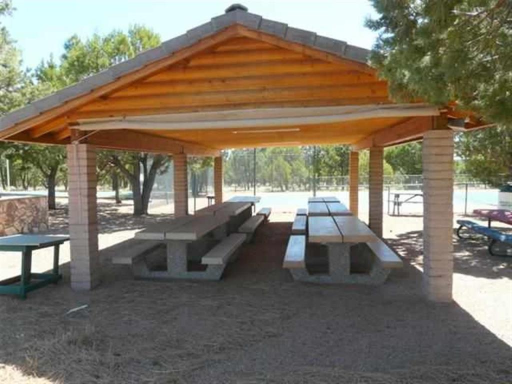 2864 Constellation Lane, Overgaard, AZ 85933