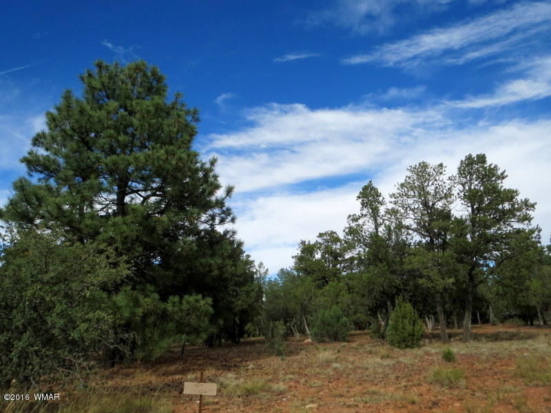 2296 Aero Mech Drive, Overgaard, AZ 85933