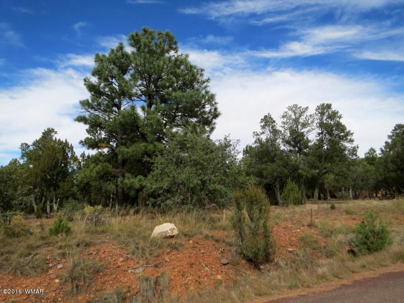 2296 Aero Mech Drive, Overgaard, AZ 85933