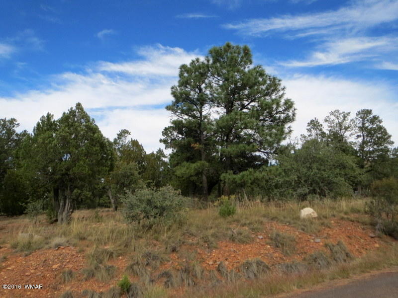 2296 Aero Mech Drive, Overgaard, AZ 85933