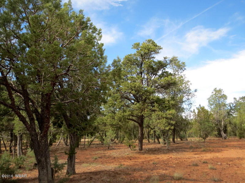 2296 Aero Mech Drive, Overgaard, AZ 85933