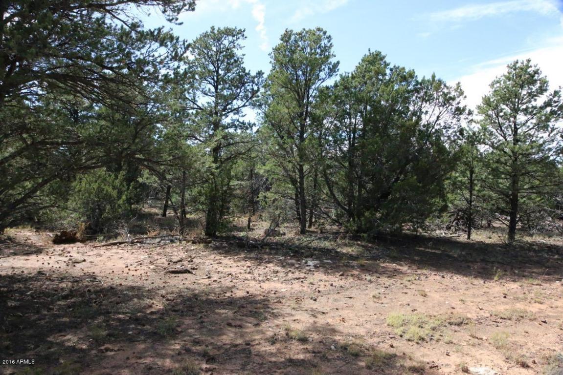 3311 HOMESTEAD Road, Overgaard, AZ 85933