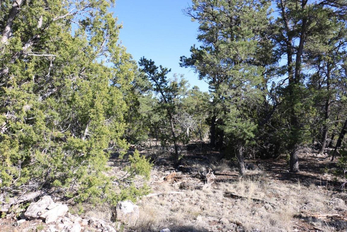 3311 HOMESTEAD Road, Overgaard, AZ 85933