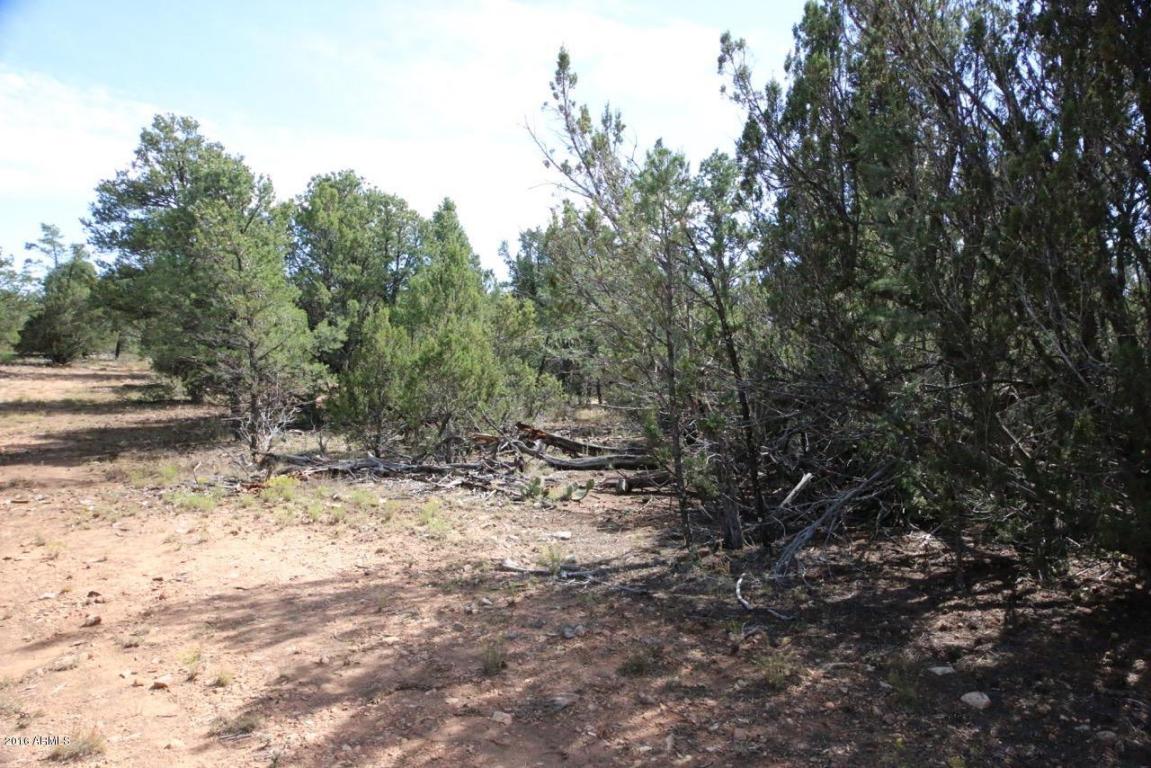 3311 HOMESTEAD Road, Overgaard, AZ 85933