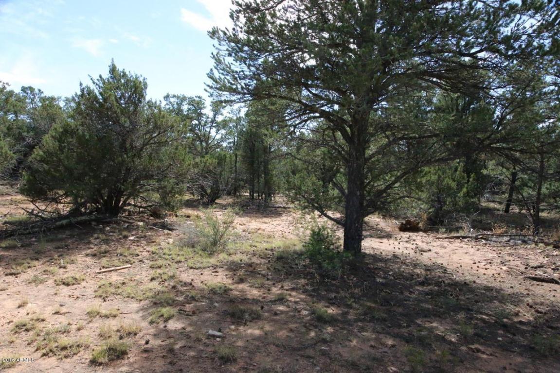 3311 HOMESTEAD Road, Overgaard, AZ 85933