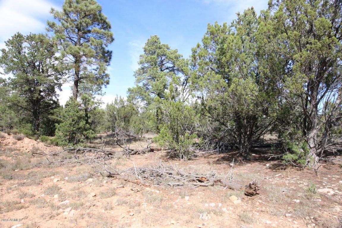 3311 HOMESTEAD Road, Overgaard, AZ 85933