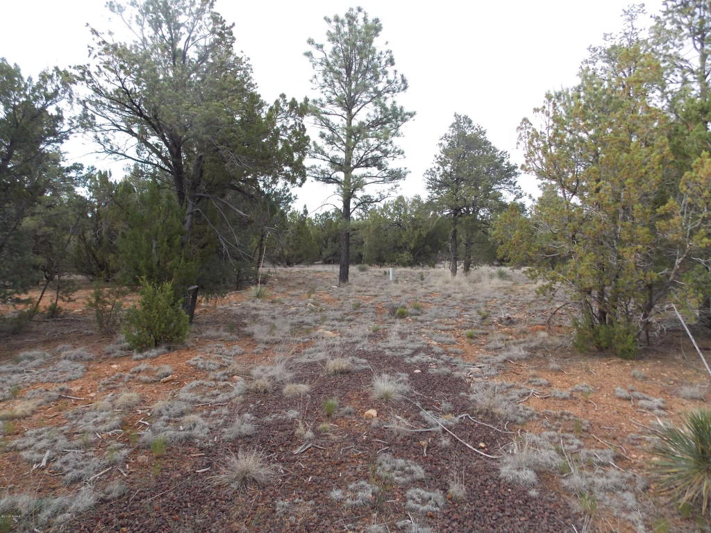 2961 HOMESTEAD Drive, Overgaard, AZ 85933