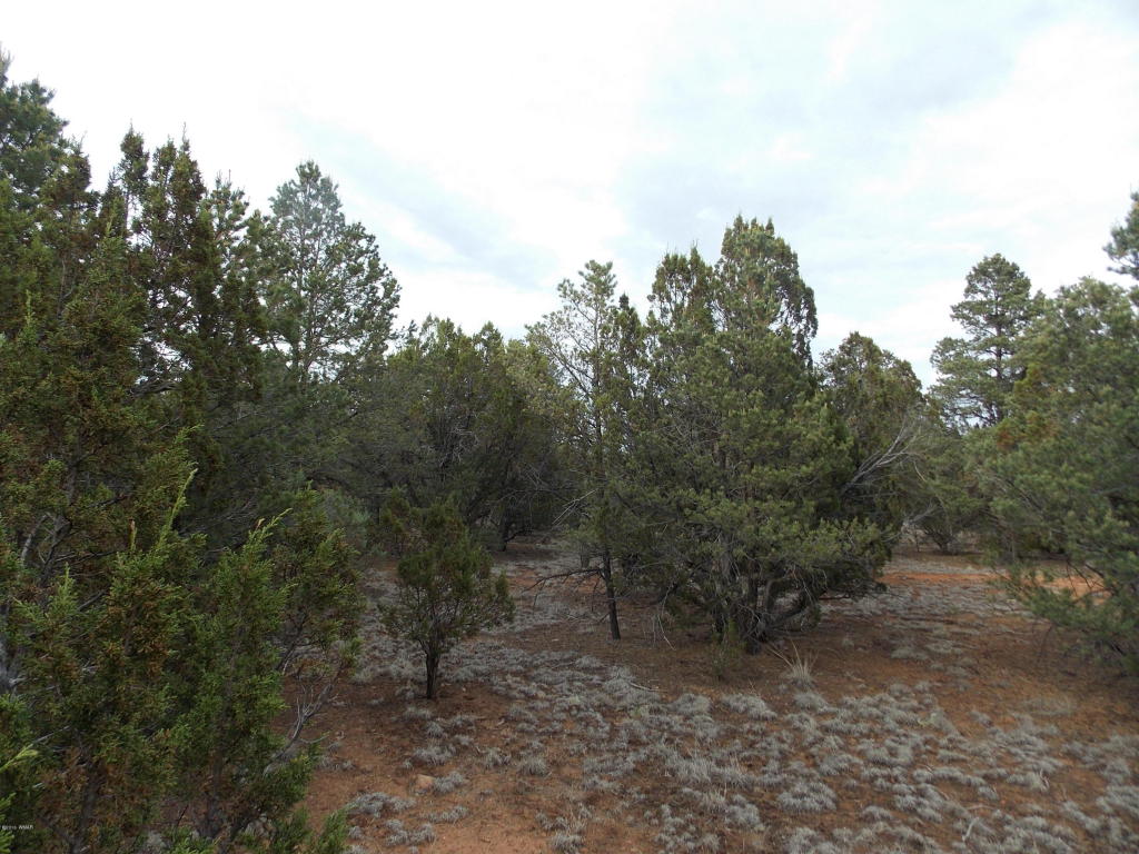 2961 HOMESTEAD Drive, Overgaard, AZ 85933