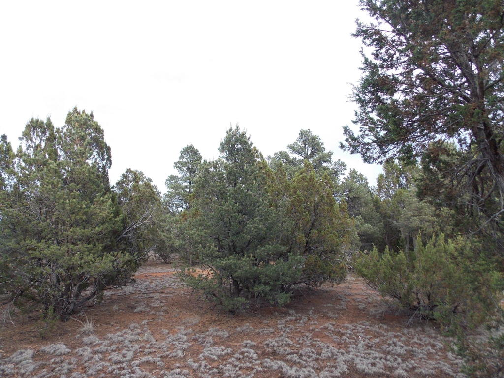 2961 HOMESTEAD Drive, Overgaard, AZ 85933