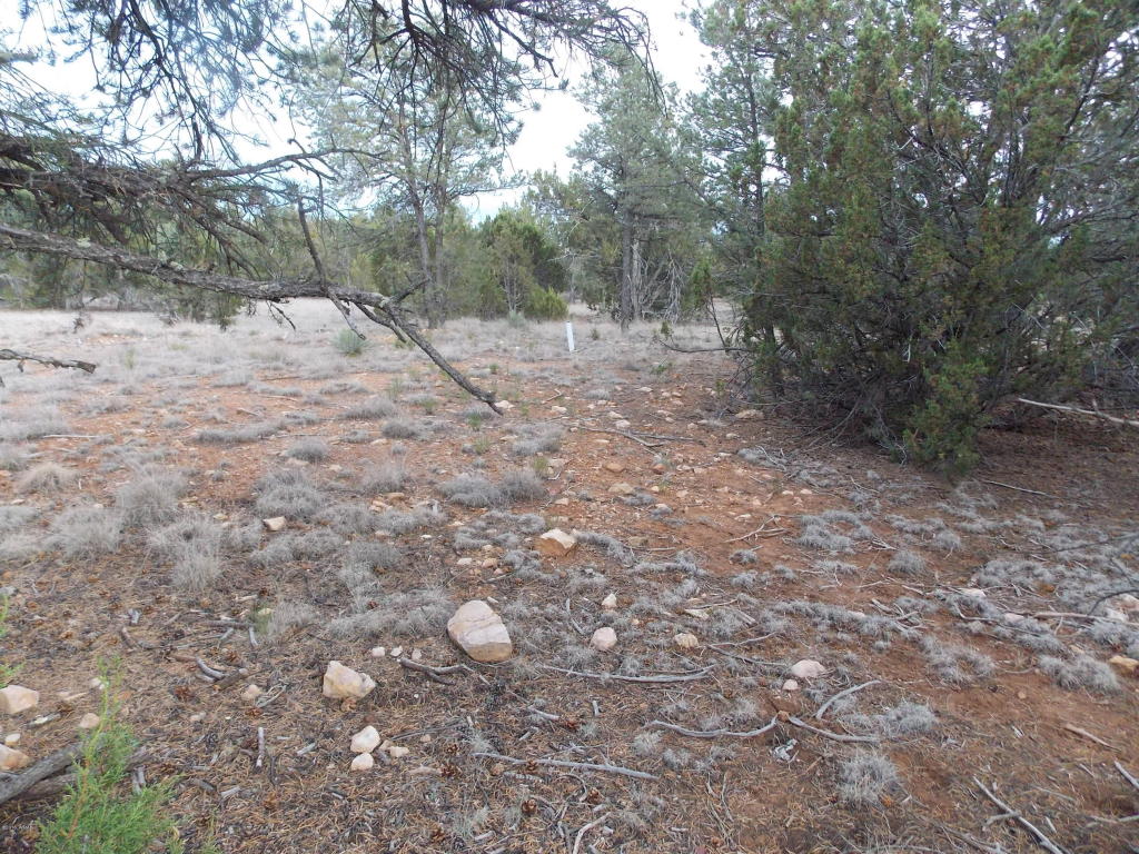 2961 HOMESTEAD Drive, Overgaard, AZ 85933