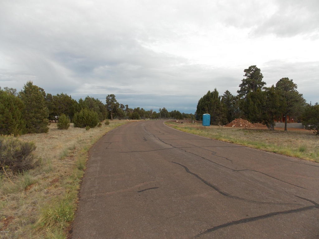 2961 HOMESTEAD Drive, Overgaard, AZ 85933