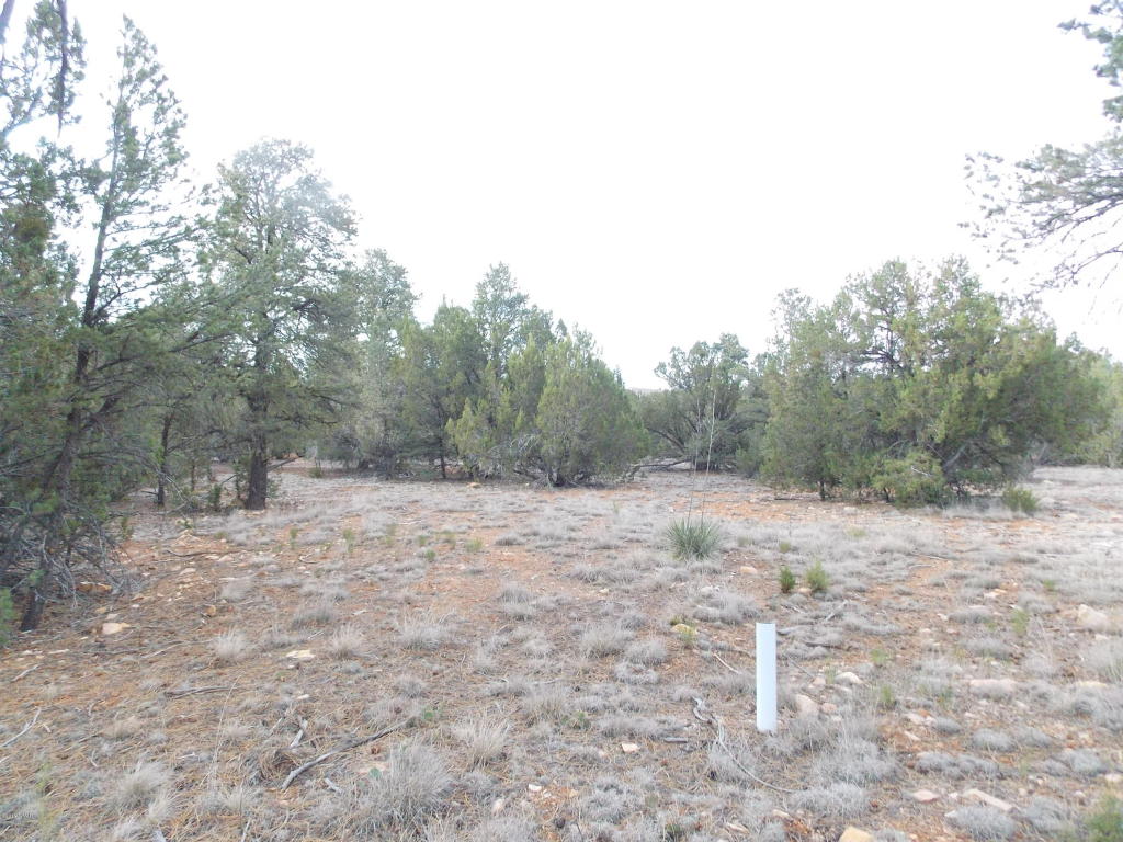 2961 HOMESTEAD Drive, Overgaard, AZ 85933
