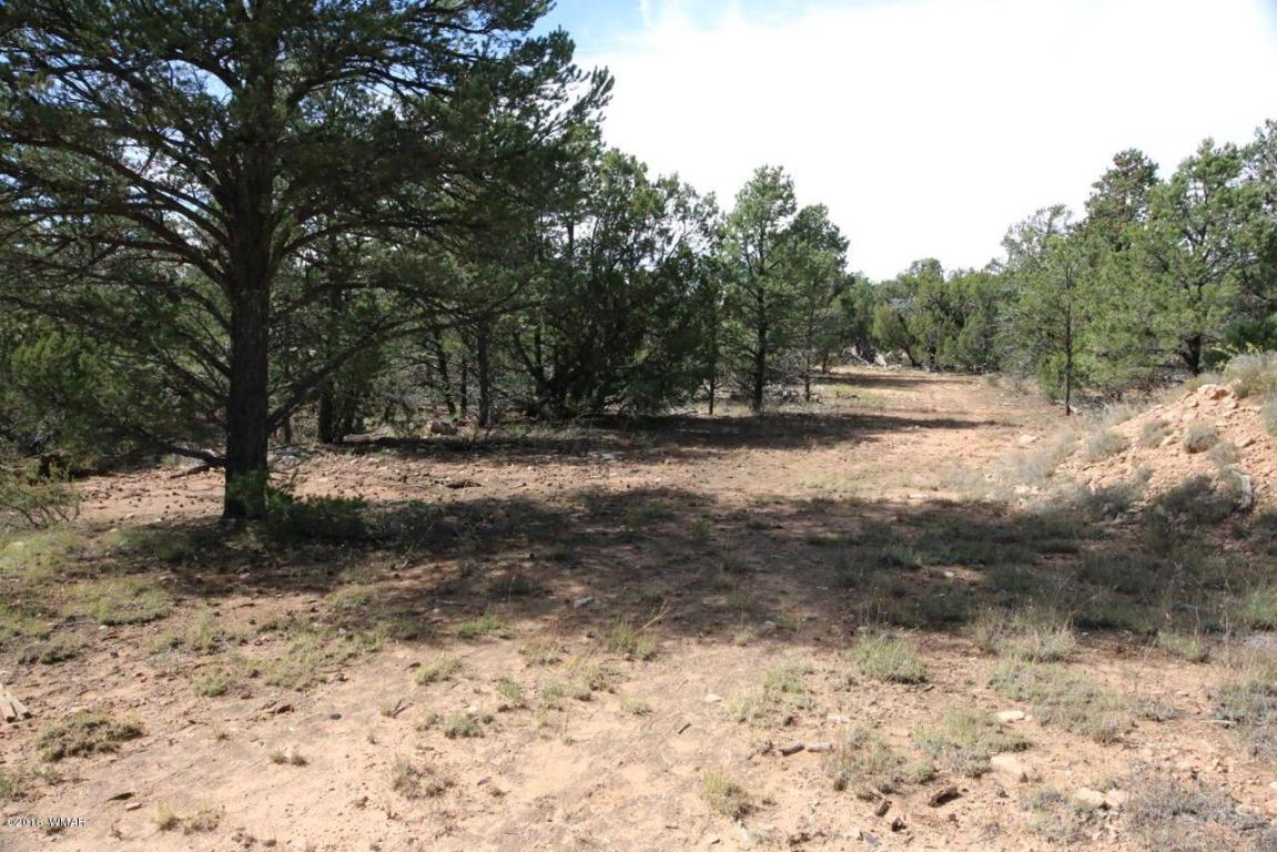 3311 HOMESTEAD Road, Overgaard, AZ 85933