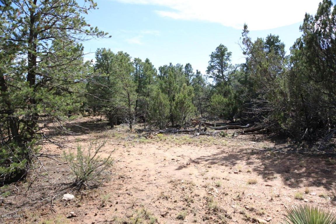 3311 HOMESTEAD Road, Overgaard, AZ 85933
