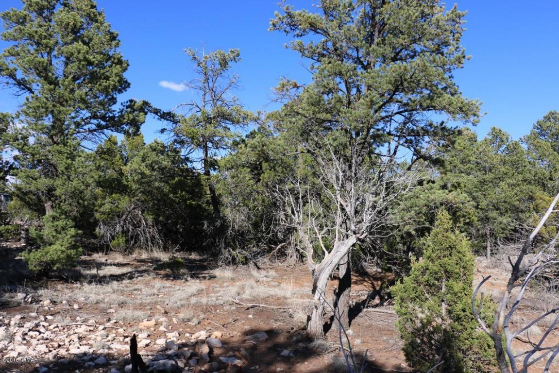 3311 HOMESTEAD Road, Overgaard, AZ 85933