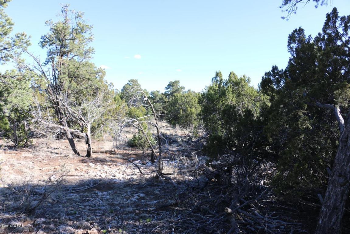 3311 HOMESTEAD Road, Overgaard, AZ 85933