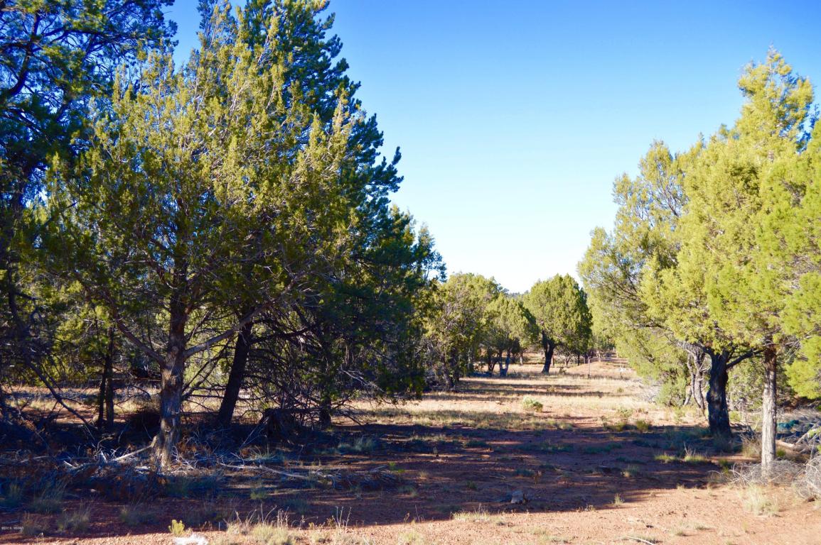 5418 Brindle Bull Lane, Pinedale, AZ 85934