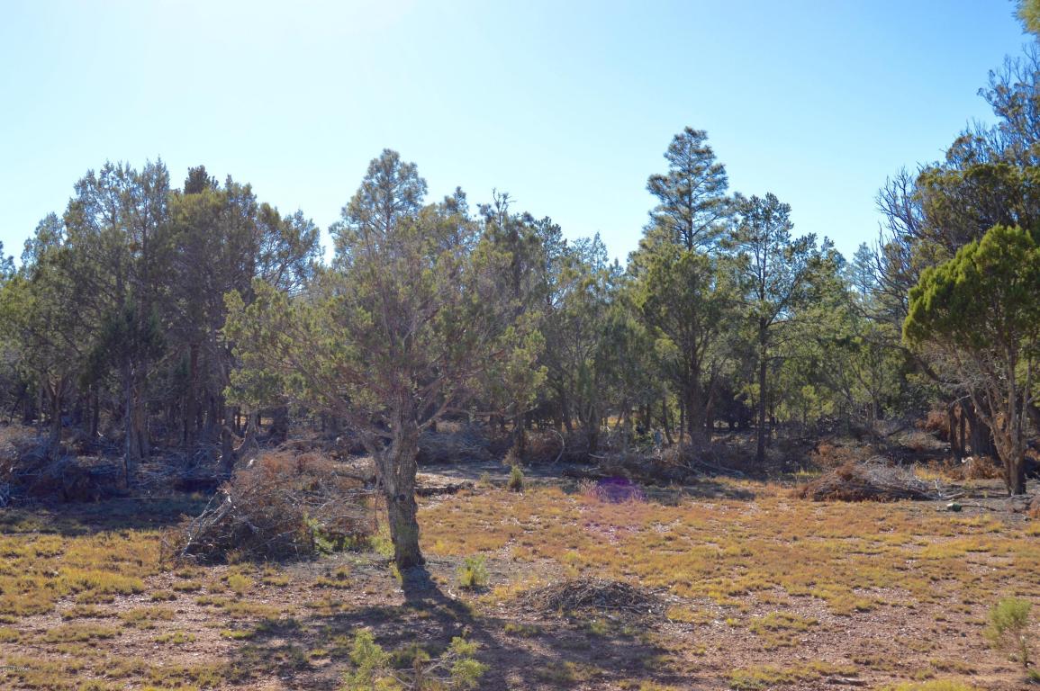 5418 Brindle Bull Lane, Pinedale, AZ 85934