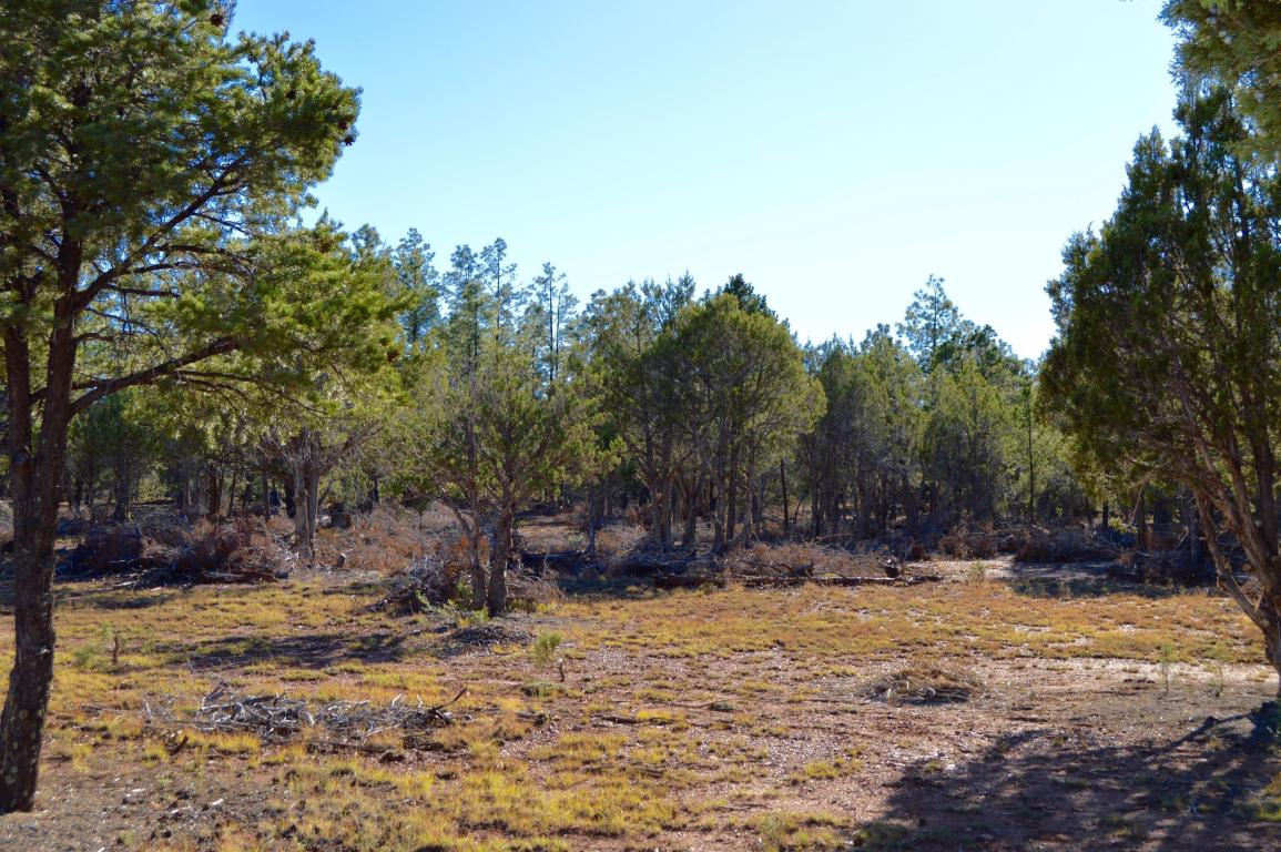 5418 Brindle Bull Lane, Pinedale, AZ 85934
