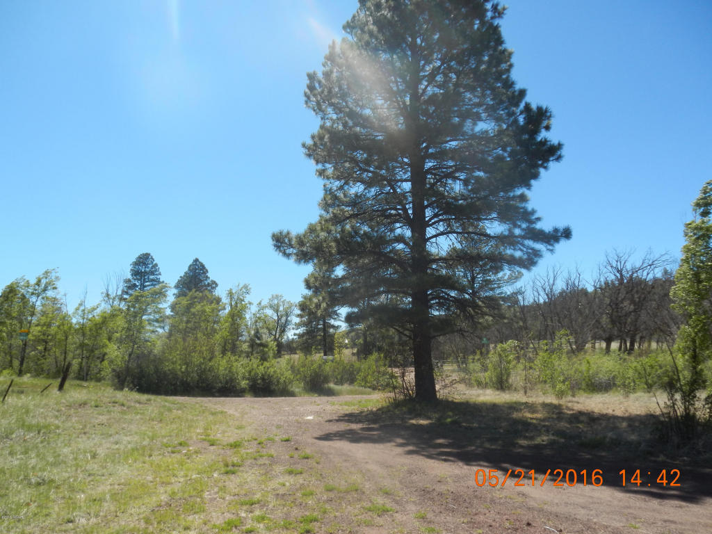 5410 COTTONWOOD Avenue, Pinedale, AZ 85934