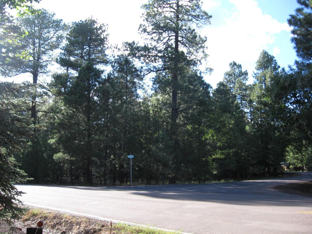 4250 Branding Iron Loop, Pinetop, AZ 85935