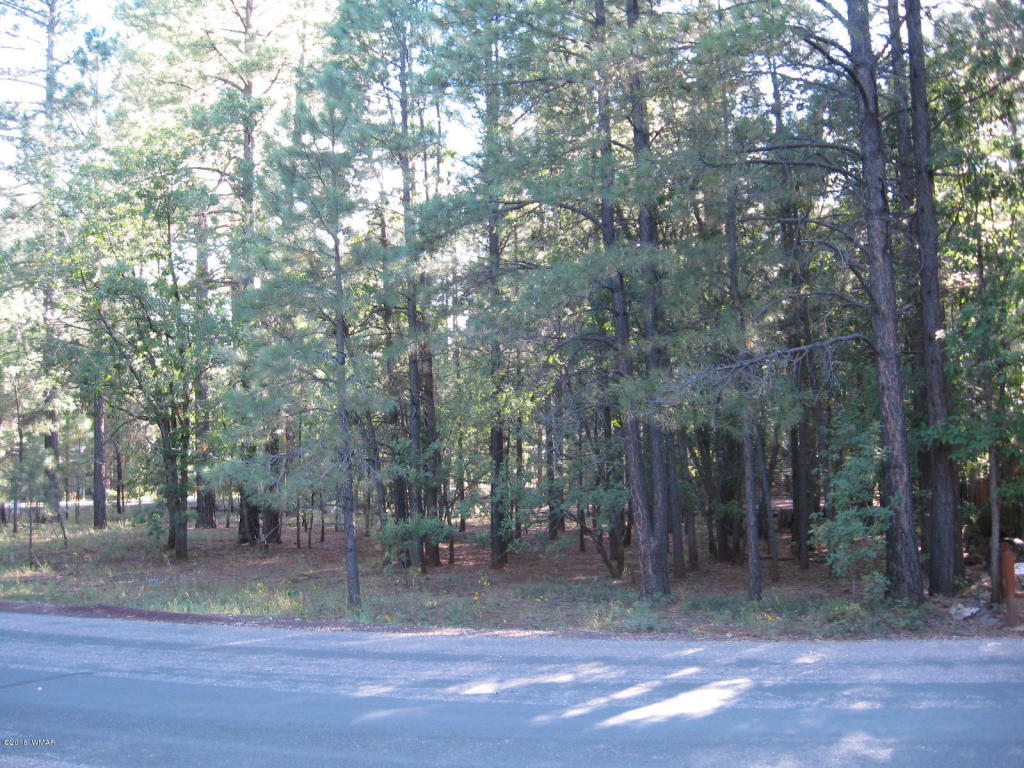 4250 Branding Iron Loop, Pinetop, AZ 85935