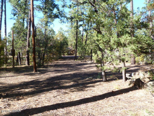 1214 E WHITE TAIL Lane, Pinetop, AZ 85935