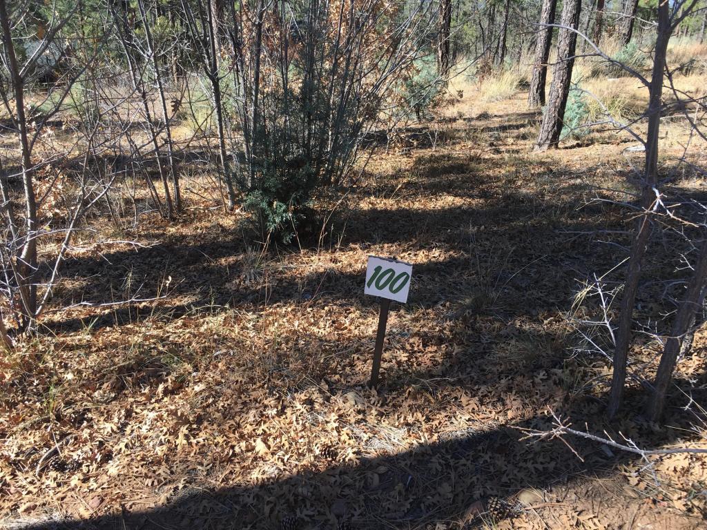 2428 CEDAR Pine Lane, Pinetop, AZ 85935