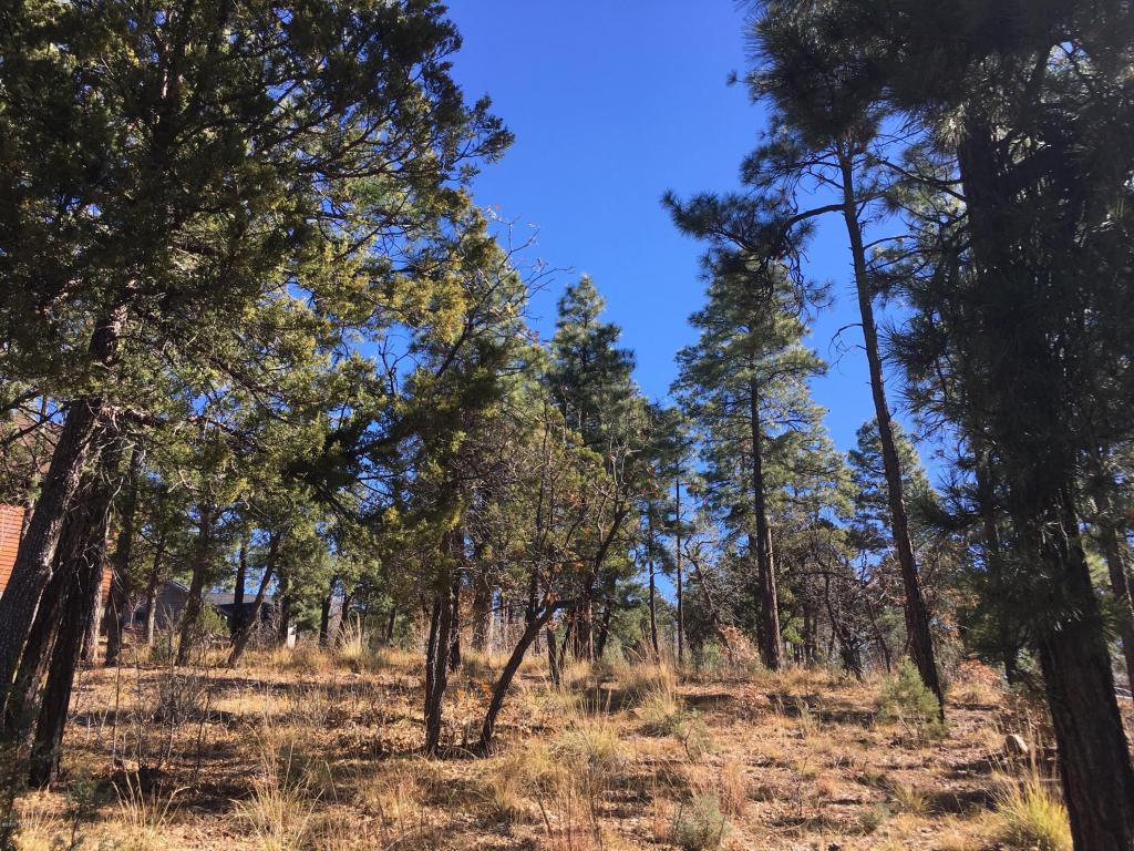 2354 S CEDAR Pine Lane, Pinetop, AZ 85935