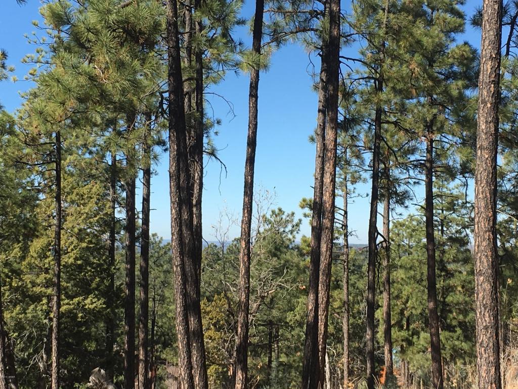 2354 S CEDAR Pine Lane, Pinetop, AZ 85935